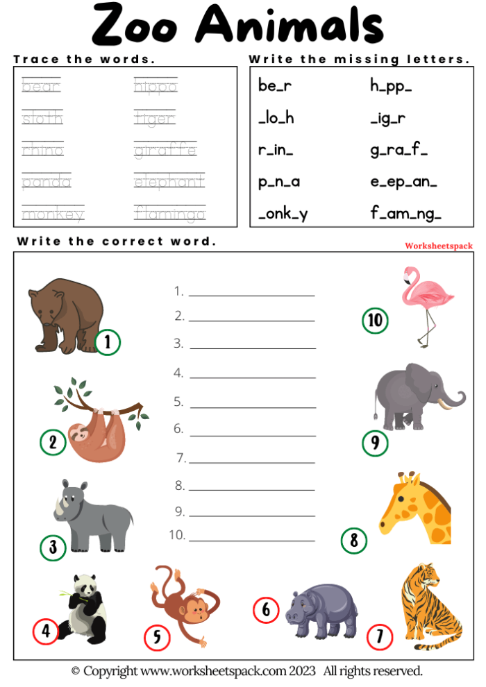 Kindergarten student drawing their favorite zoo animal from the poem including bears camels and wombats