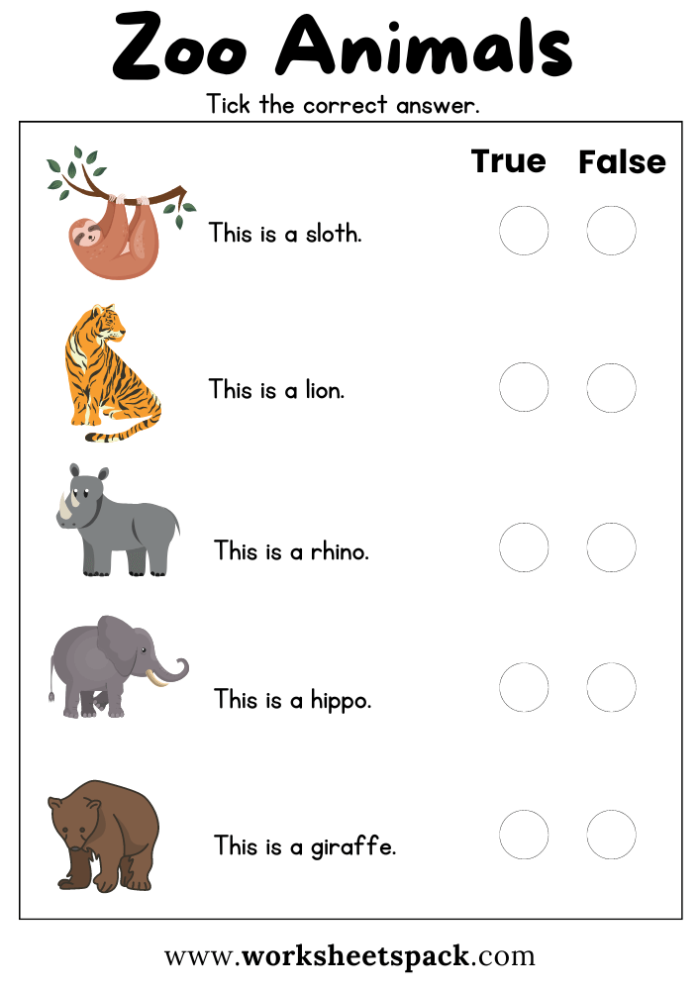 Kindergarten student drawing their favorite zoo animal like bears camels or wombats from a poem worksheet
