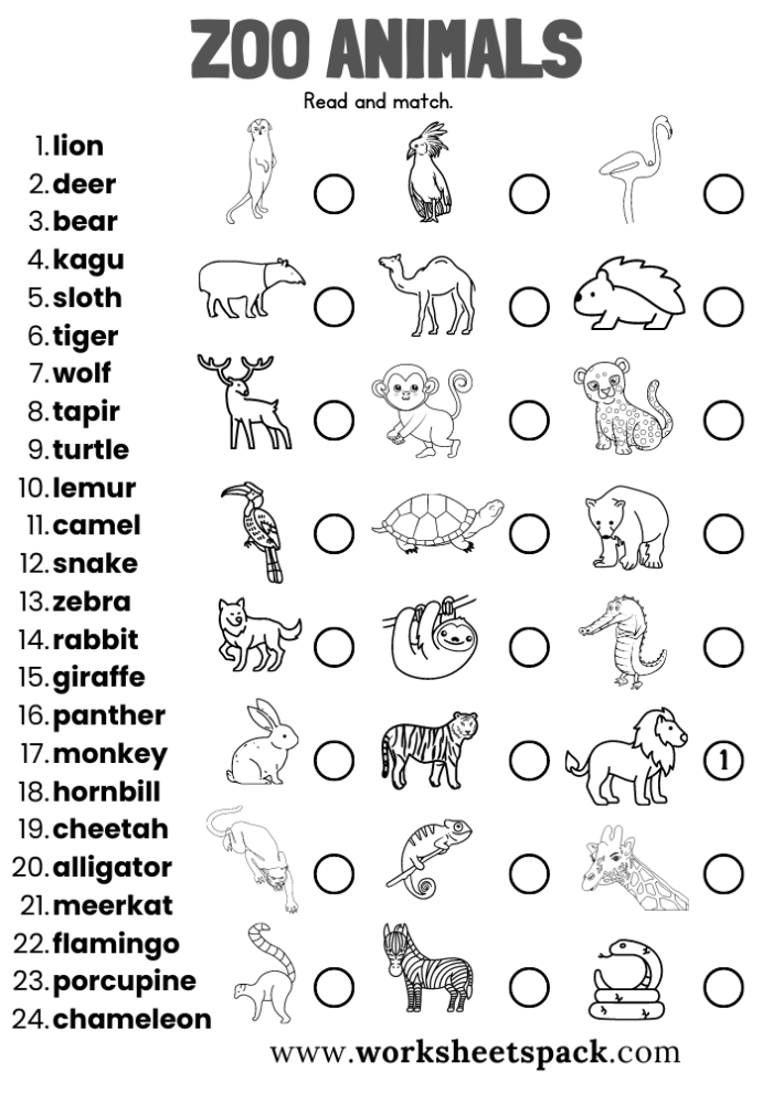 A kindergarten worksheet activity showing a drawing space where children can sketch their favorite zoo animal like bears, camels, or wombats from a poem