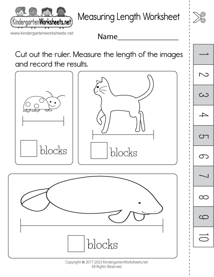 First Grade Measure the Length worksheet featuring household items to measure