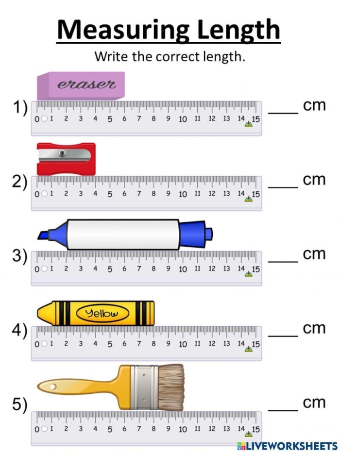 First Grade worksheet for measuring the length of common household items