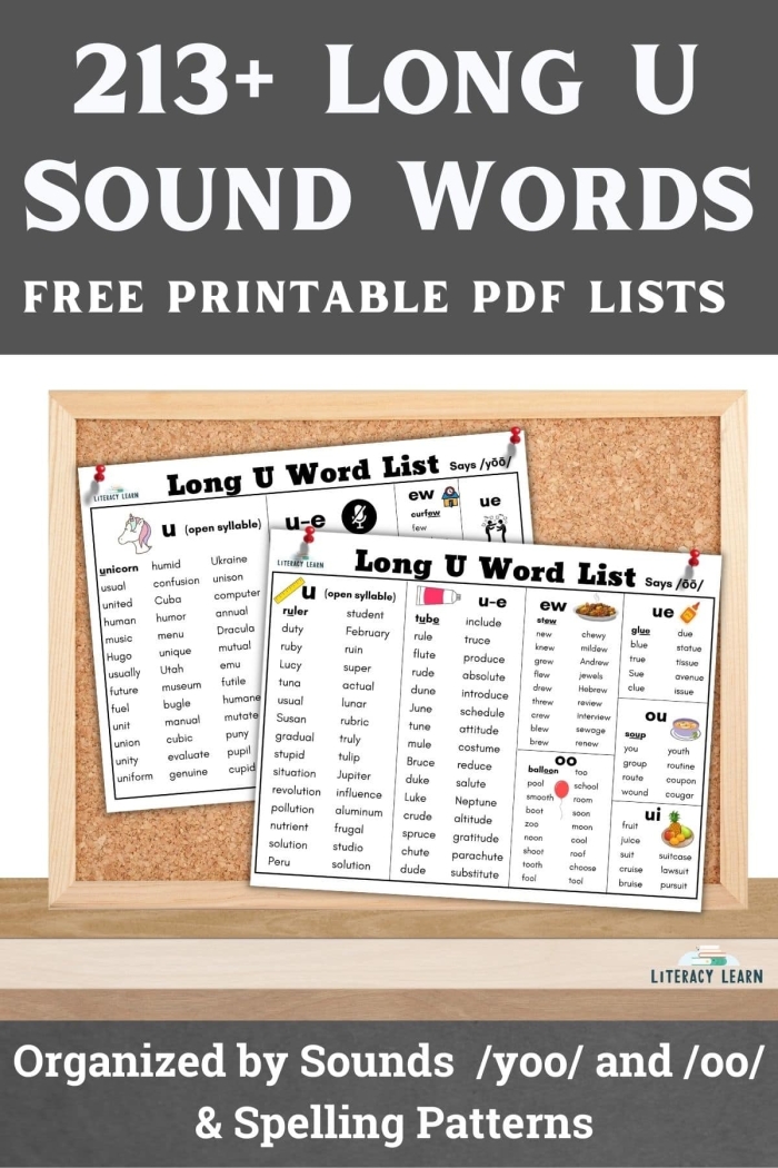 Long U worksheet for first graders featuring word and picture matching activities
