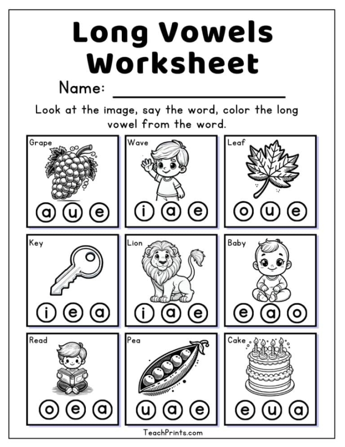 Preschool Long Vowel Hunt worksheet featuring colorful illustrations and words