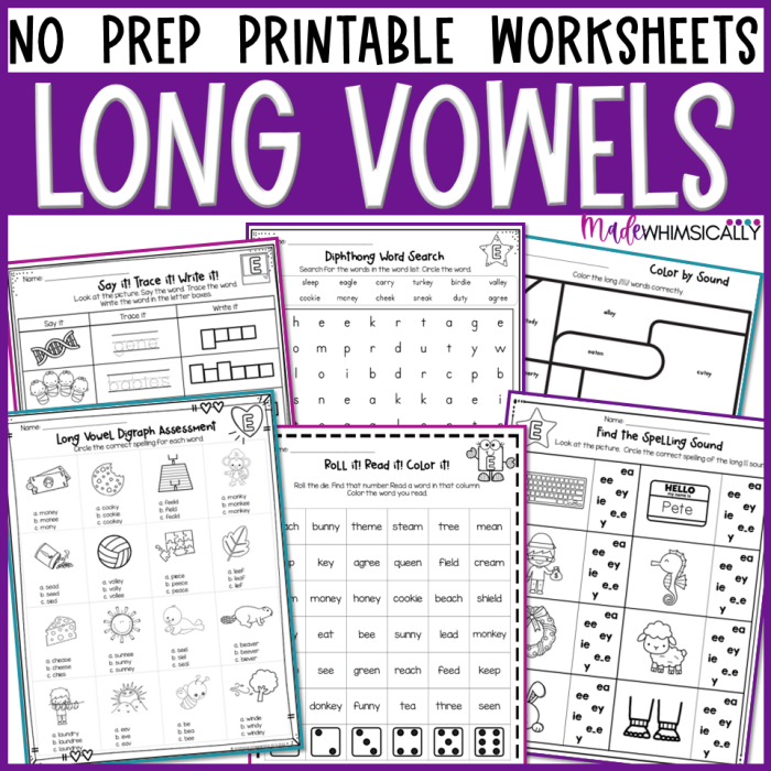 Preschool Long Vowel Hunt worksheet with pictures and words for identifying long vowel sounds
