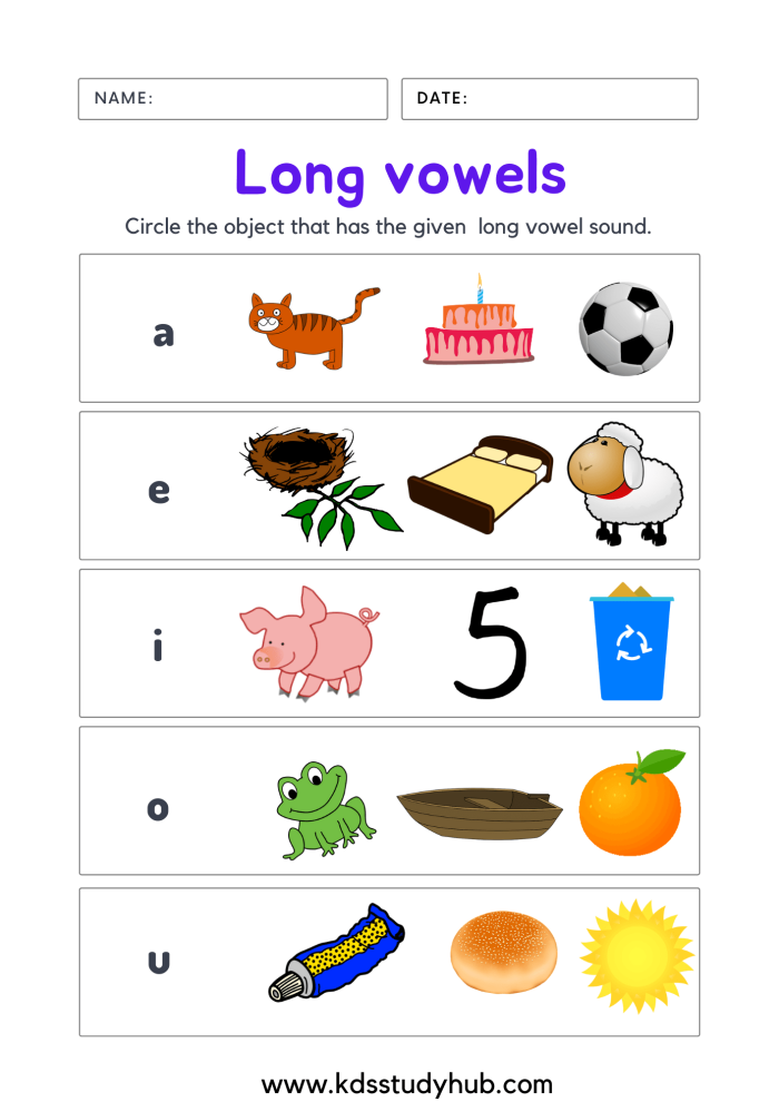 Preschool Long Vowel Hunt worksheet featuring a fun vowel word search