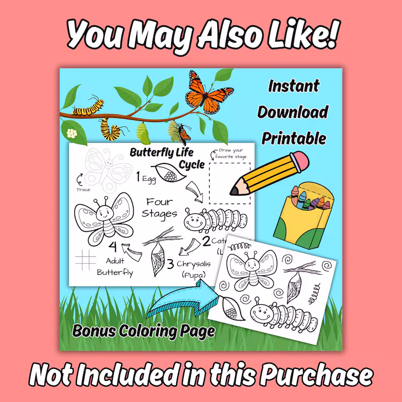 Make Butterfly Bracelets worksheet for phonics learning and creativity Colorful butterfly bracelets made for a fun kindergarten craft activity