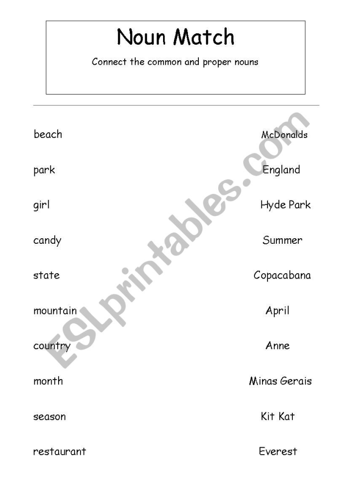 Match the Nouns worksheet for Fourth Grade
