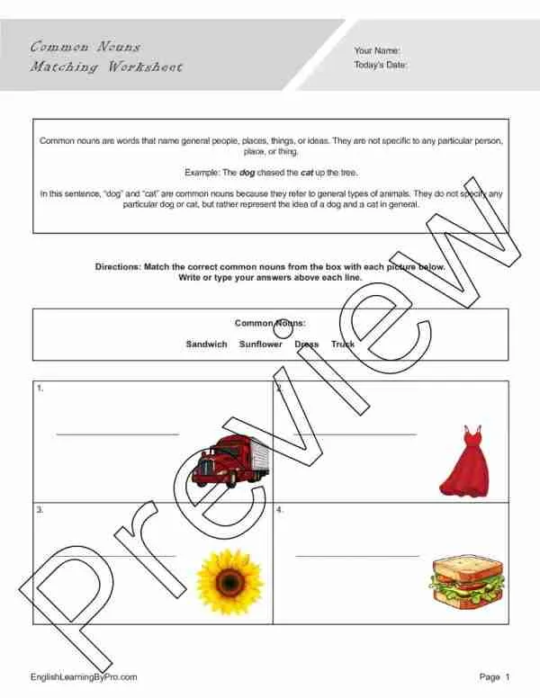 Match the Nouns worksheet for Fourth Grade