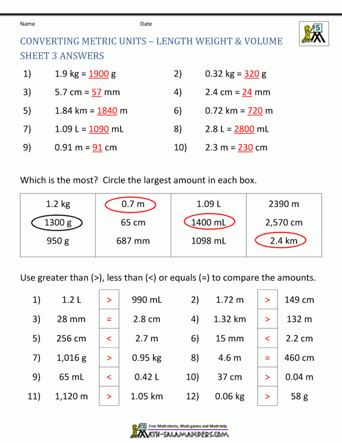 Common Units of Measurement worksheet for grade-level metric system conversions