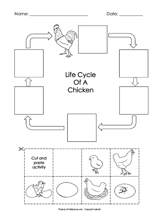 Engaging Count Your Chickens activity for first graders to complete number sequences on eggs First Grade Count Your Chickens worksheet with missing numbers on colorful eggs up to 50