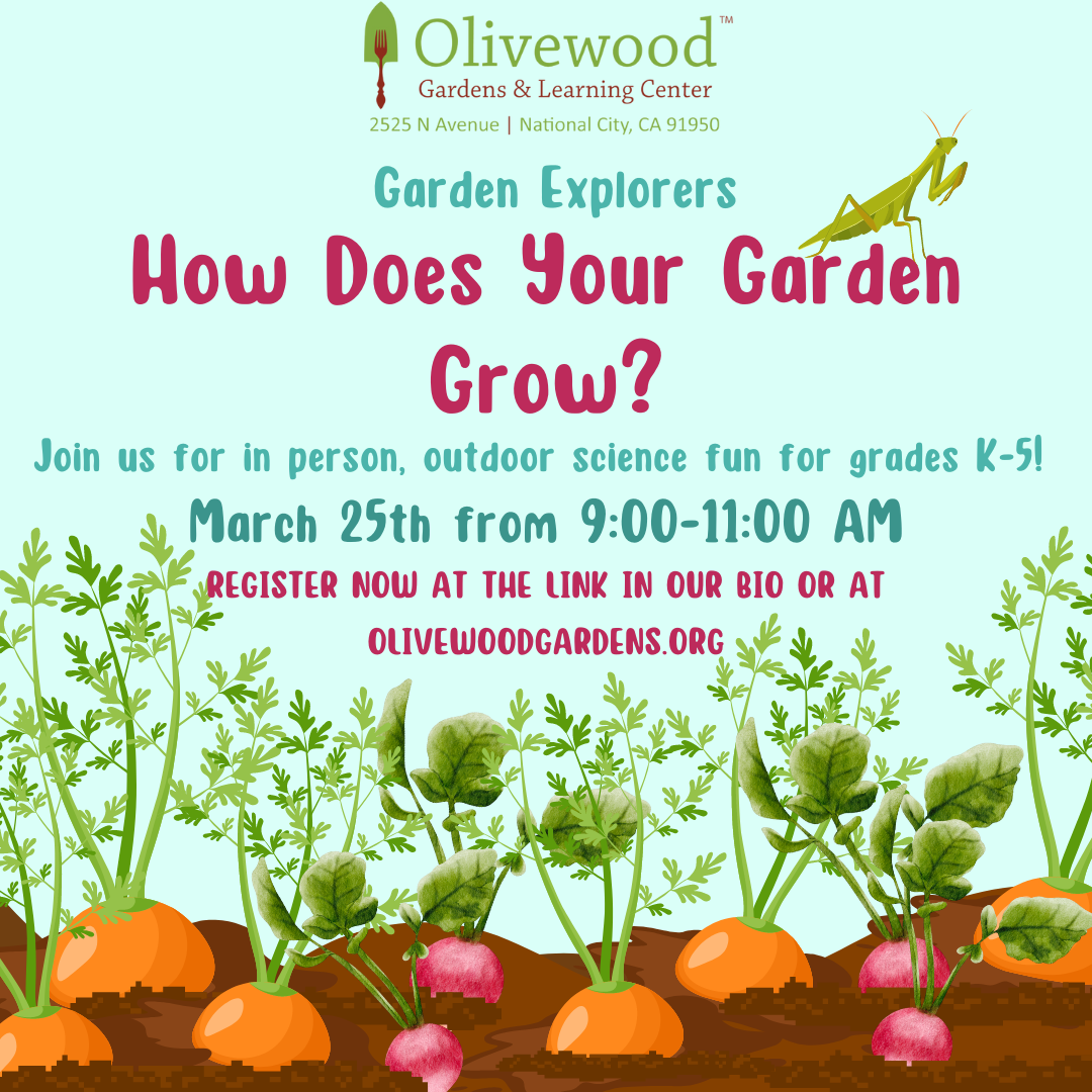 Engaging multiplication word search activity for second graders themed around garden vocabulary 23 Second Grade multiplication word search worksheet themed How Does Your Garden Grow with garden-related words
