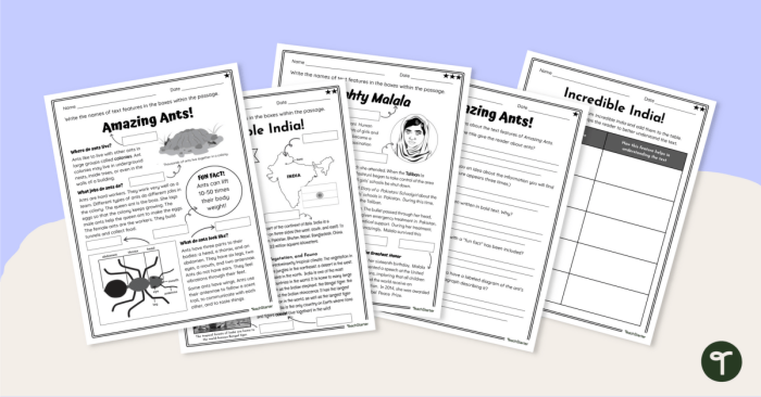 Nonfiction Feature Match worksheet for second graders with tree-themed illustrations