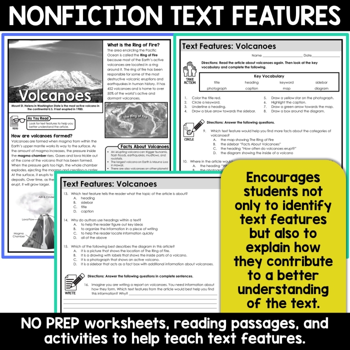 Nonfiction Feature Match worksheet for second graders focusing on text features and illustrations in a tree-themed activity