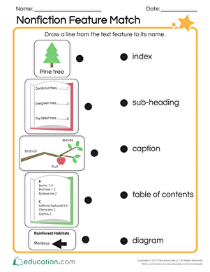 Nonfiction Feature Match worksheet for second graders with tree-themed illustrations