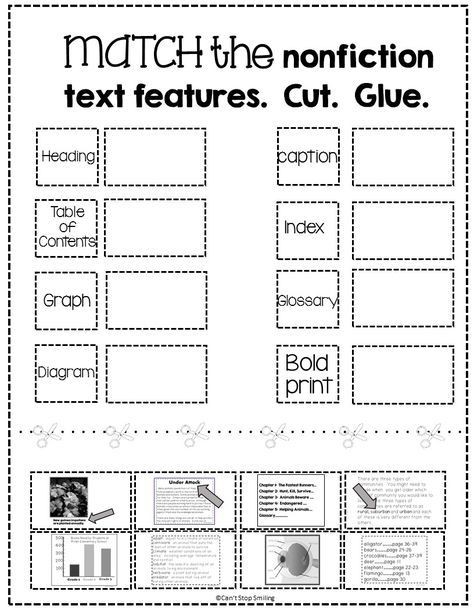 Nonfiction Feature Match worksheet designed for second graders to identify text features in a tree-themed activity