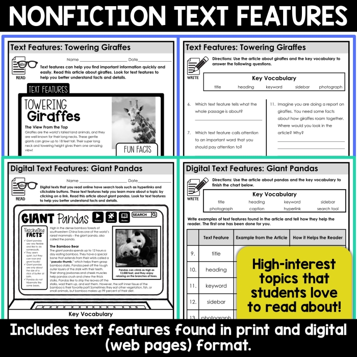 Nonfiction Feature Match worksheet for second graders with tree-themed illustrations