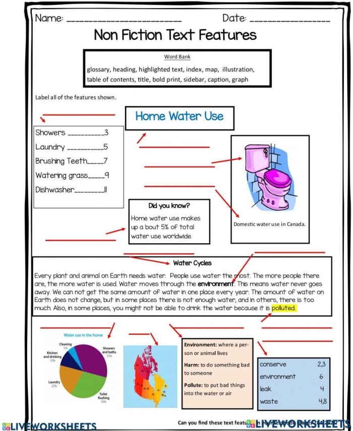Nonfiction Feature Match worksheet for second graders with tree-themed illustrations