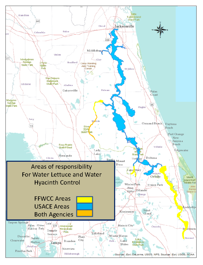 Reading comprehension worksheet focused on the St. Johns River, Florida for fourth graders