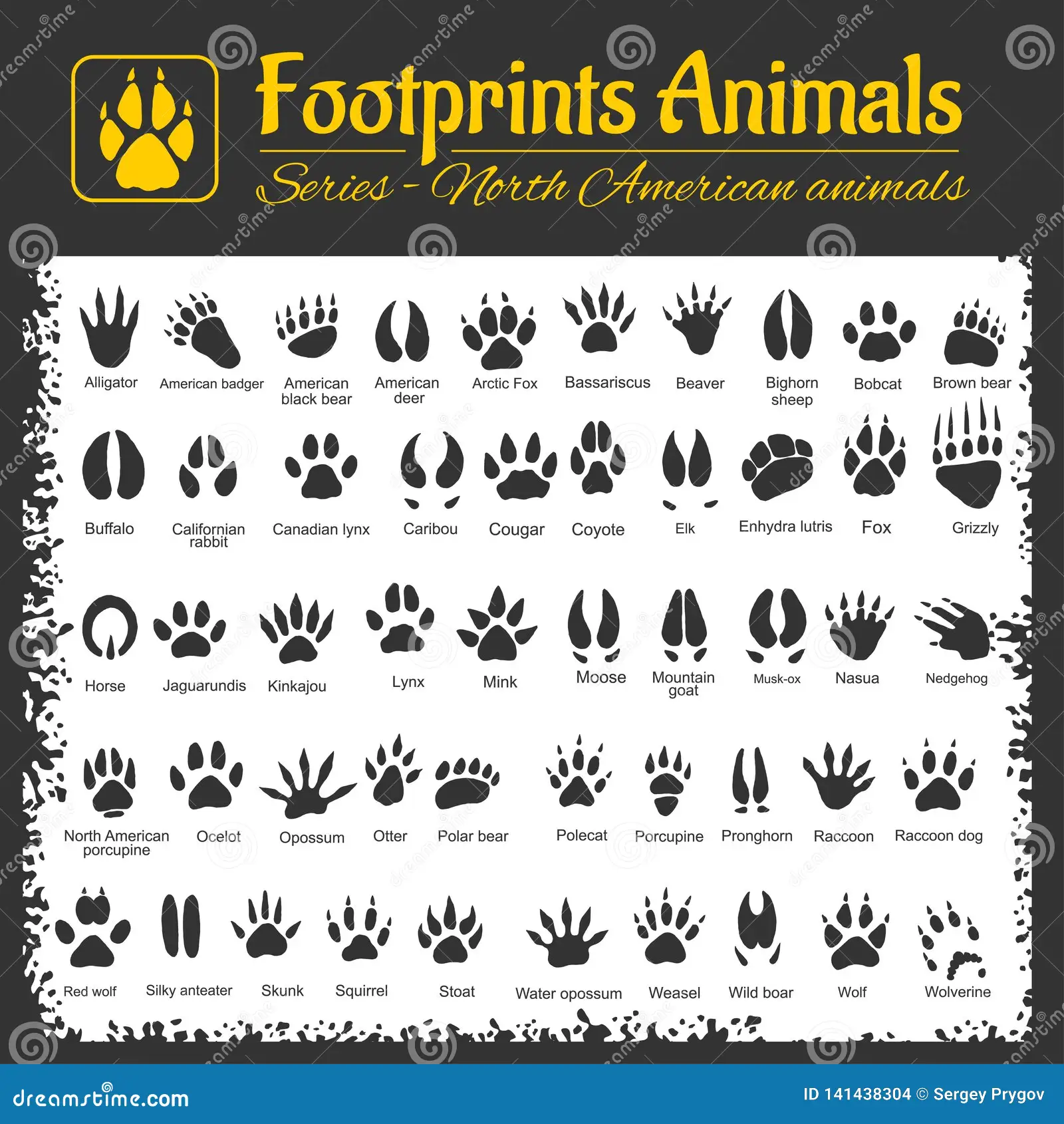 Illustration of North American animal tracks for third grade decimal worksheet number 6