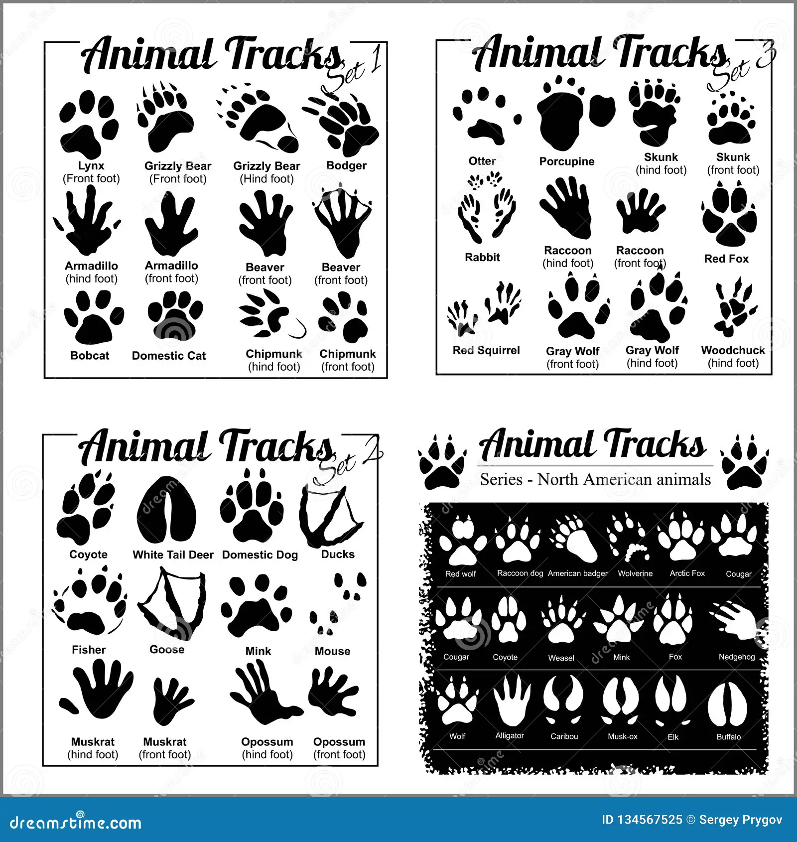 Third Grade worksheet matching North American animal tracks to their animals with decimals practice