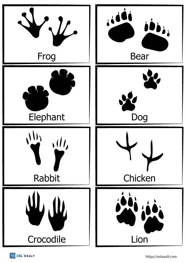 Third grade worksheet matching North American animal tracks to their animals focusing on decimals