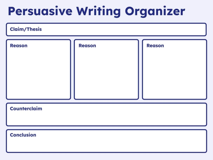 Persuasive Writing Graphic Organizer Worksheet for Young Writers Grade 3 Third grade students organizing persuasive writing with topic sentence, reasons, and conclusion template