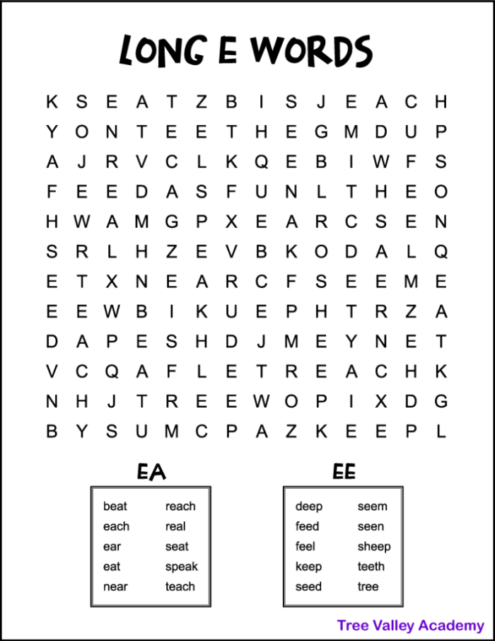 First Grade Long E Word Search worksheet with fun phonics and fraction theme