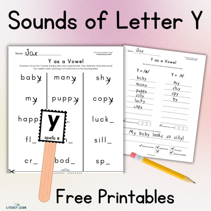 First Grade phonics worksheet showing Y used as a long I vowel sound