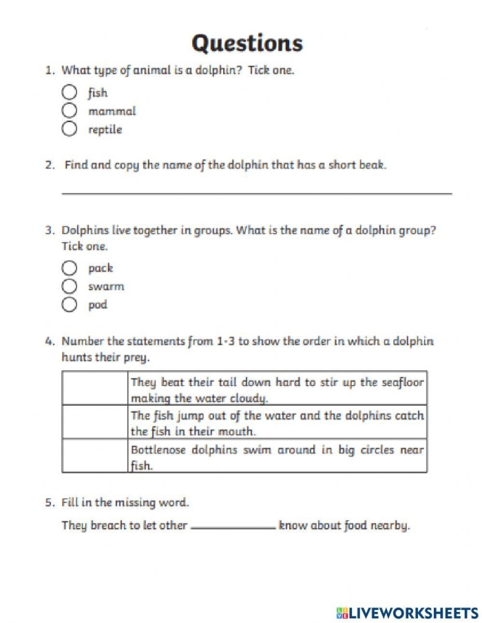 Fifth grade students completing a Dolphin Facts worksheet focused on phonics and reading comprehension