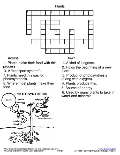 Discover how water supports photosynthesis in this fun worksheet for fourth graders Fourth grade worksheet exploring the role of water in photosynthesis and plant life