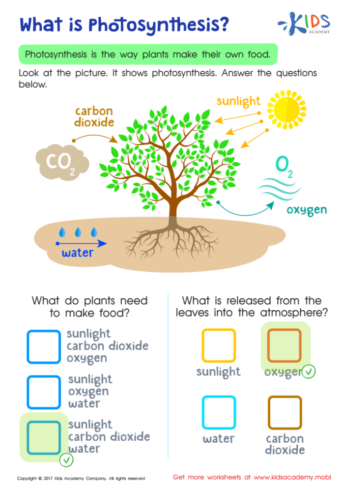 Discover how water fuels photosynthesis in this engaging fourth grade activity sheet Fourth grade worksheet exploring the role of water in photosynthesis and plant life