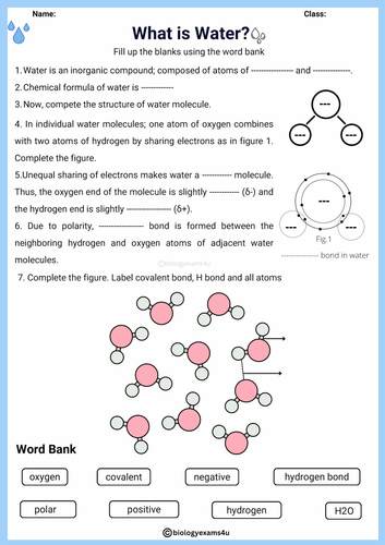 Writing worksheet for Fourth Grade Worksheet illustrating the physical properties of water for fourth graders, covering topics like specific heat and kinetic energy. Educational resource for teaching kids about water's unique characteristics.