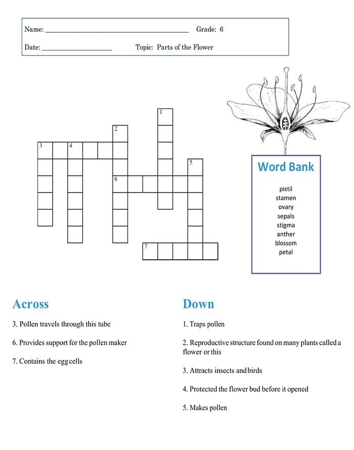 Engaging Picture Crossword: Fruit! worksheet for first graders Colorful picture crossword puzzle featuring various fruits for kids