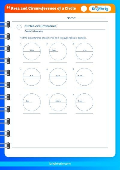 Geometry practice sheet with a pizza circle to explore circle measurements 25 Worksheet featuring a pizza-themed circle for practicing radius, diameter, circumference, and area calculations