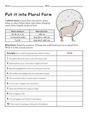 Third grade students practicing converting singular nouns to plural forms with example words and fill-in-the-blank exercises