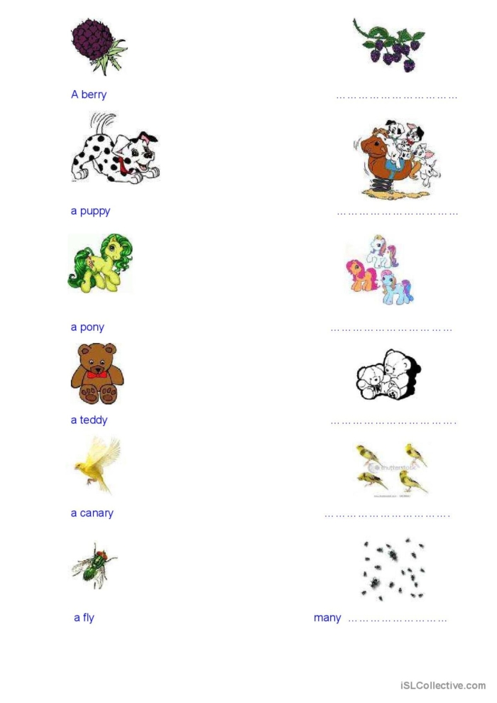 Plural Y practice worksheet for first graders focusing on changing Y to IES in plural nouns First grade worksheet practicing plural nouns ending in Y with words like candy and kitty