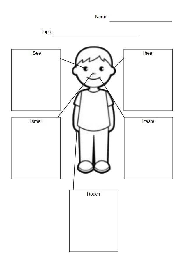 Fourth grade nonfiction point of view graphic organizer worksheet number six Graphic organizer worksheet for fourth graders to identify author’s point of view with supporting reasons and evidence