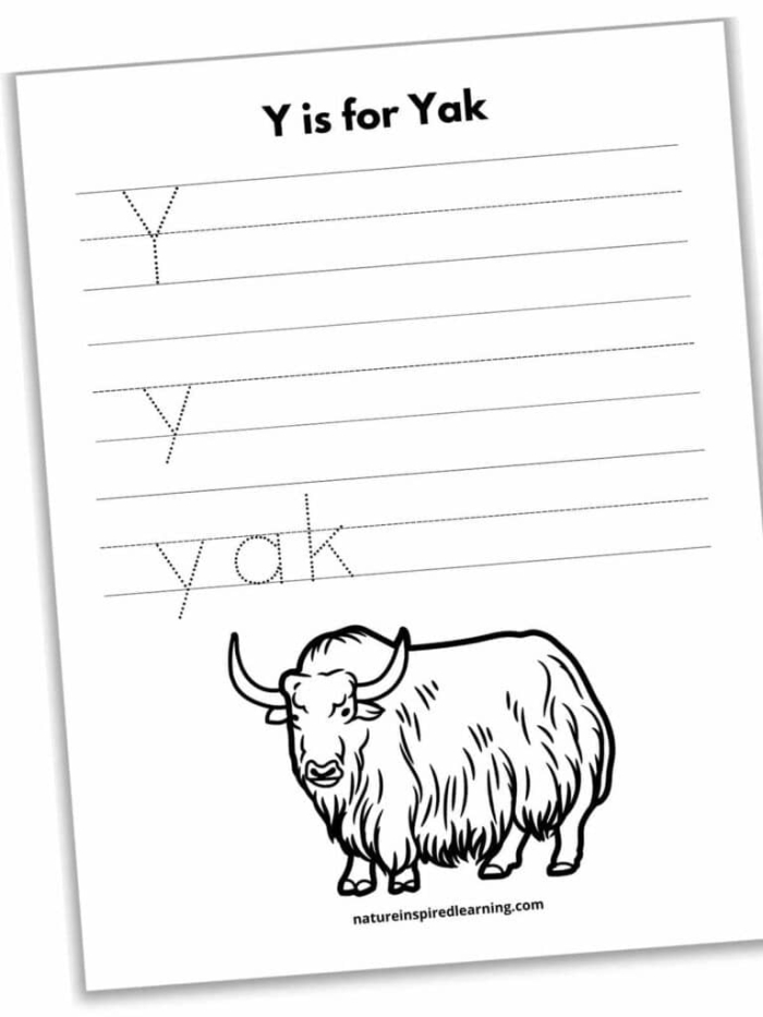 Worksheet image demonstrating letter Y tracing activities for Spanish language learners in Pre-K Practice Tracing the Letter Y worksheet for prekindergarten students focusing on fine motor skills