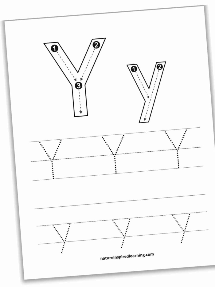 Worksheet for tracing the letter Y aimed at preschool children in Spanish language education Kids practice tracing the letter Y on a worksheet designed for pre-K learners to enhance fine motor skills