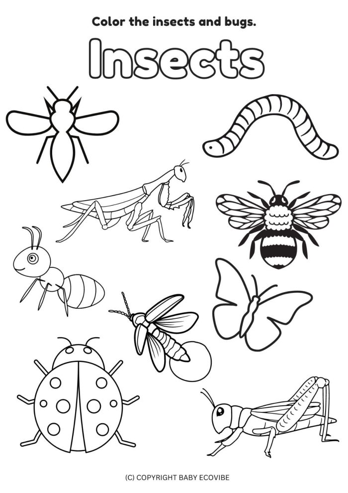 Coloring Page for Young Learners Featuring Bugs and Nature Theme Version 6 Pre-K kids coloring a fun bugs in nature worksheet with various insects