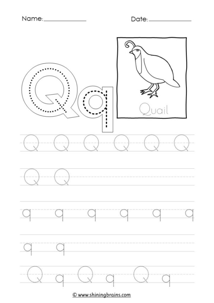 Worksheet featuring various activities centered around the letter Q for Pre-K students