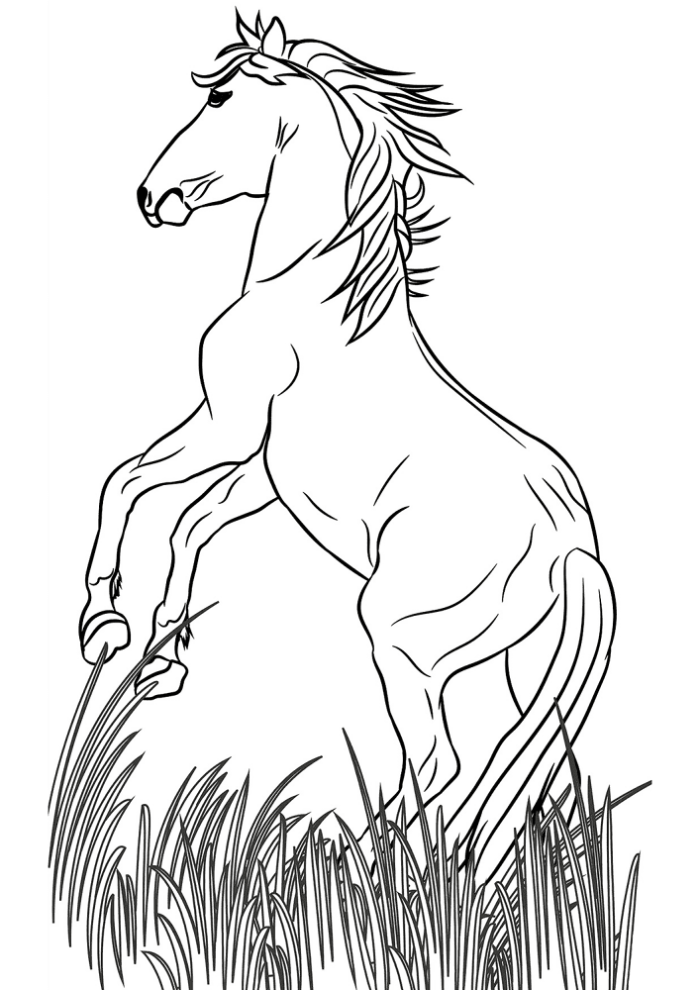 Mustang coloring page worksheet for Pre-K car enthusiasts to color and enjoy