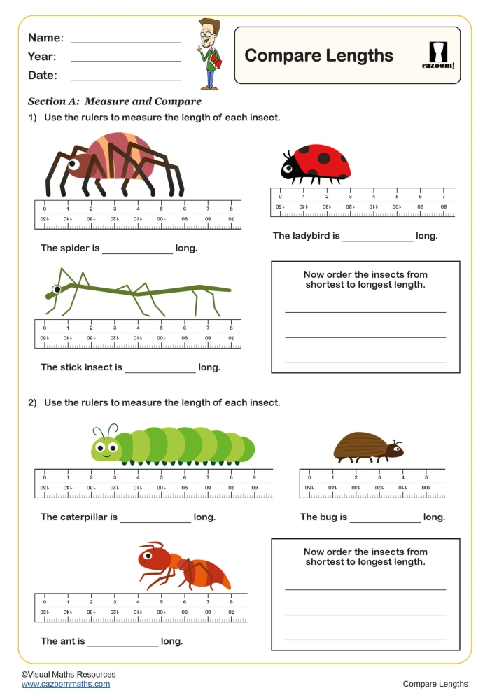 Measurement Comparison Assessment worksheet for assessing students' understanding of comparison language in Pre-K Visual representation of a Measurement Comparison Assessment worksheet designed for Pre-K subtraction activities