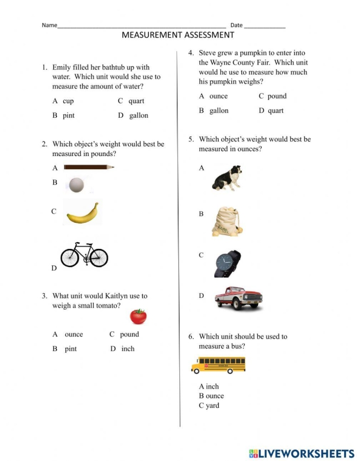 Visual guide for understanding measurement comparisons in early education Measurement Comparison Assessment worksheet for Pre-K students focused on subtraction skills