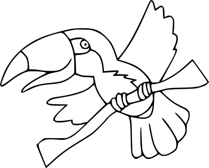 Creative toucan coloring page for young learners in grade Pre-K Pre-K toucan coloring worksheet for civics and government activities