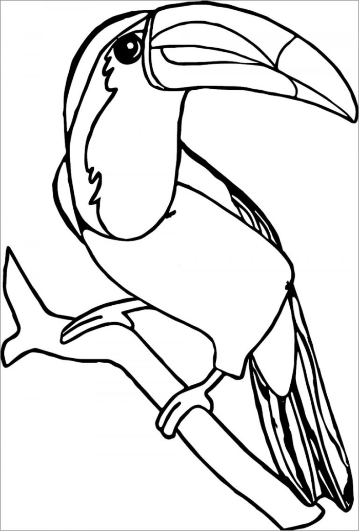 Color the Toucan activity page number nine for young learners to explore colors and birds A cheerful toucan illustration for Pre-K color the toucan worksheet in civics and government