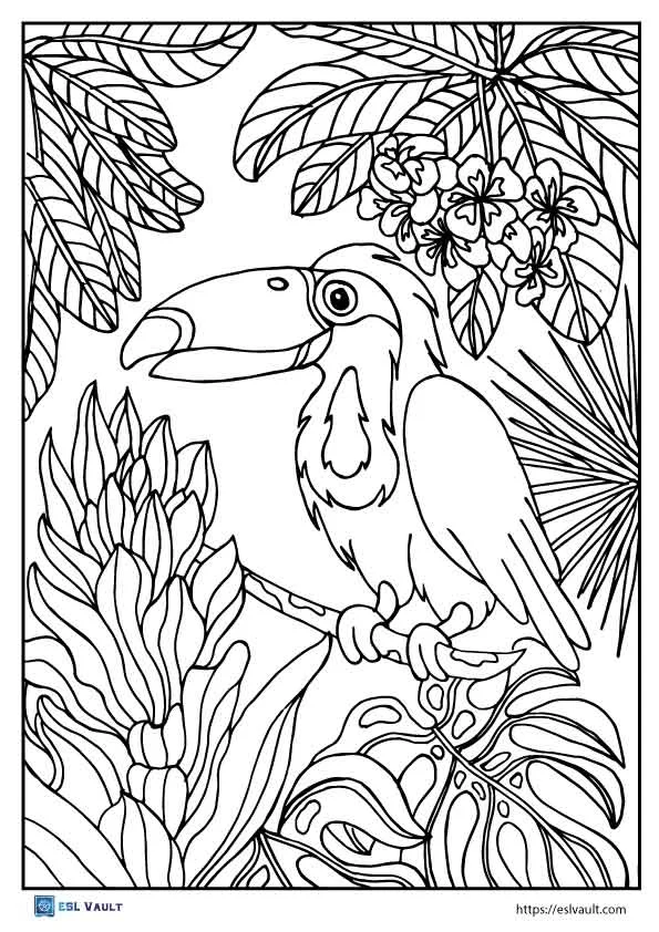 Toucan coloring activity sheet for young learners in Civics and Government class 19 Pre-K worksheet featuring a toucan to color for Civics and Government lessons
