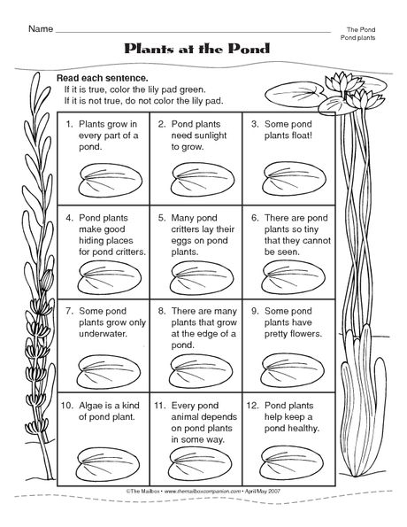 Grammar and Mechanics worksheet for Fifth Grade Students engaging with the Prefix Pond worksheet, identifying and sorting words by prefixes. Educational activity for fifth graders focused on grammar and word meanings.