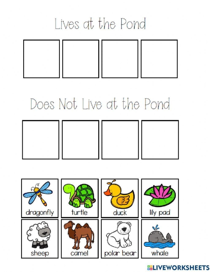 Title image of Prefix Pond worksheet demonstrating prefix sorting and analysis activities Worksheet featuring Prefix Pond for fifth graders to explore word prefixes and meanings