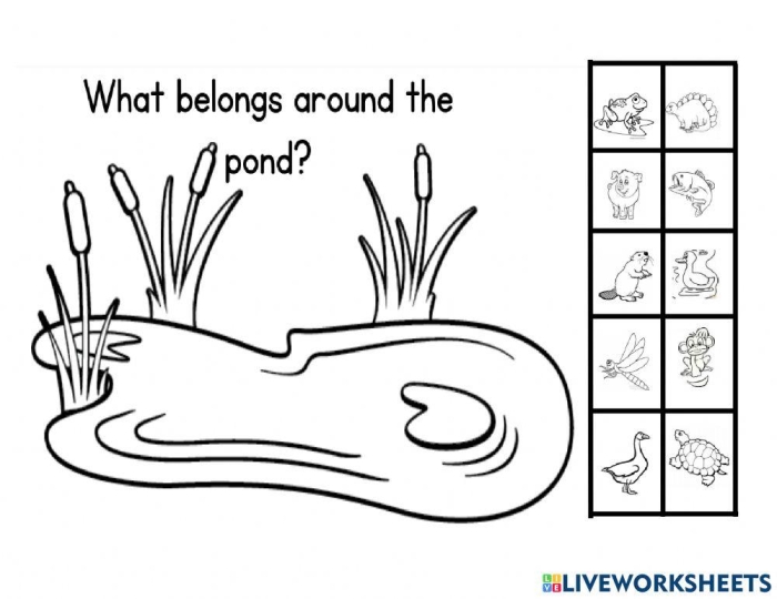 Prefix Pond worksheet image for grammar and mechanics activities Worksheet featuring Prefix Pond for fifth graders to explore word prefixes